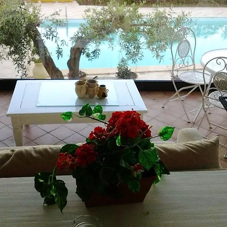 Bright + Pool * Marsala